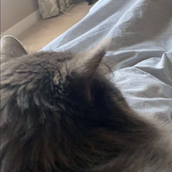 Meet your Posher, Patrick - Picture 1 of 1